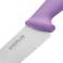 Couteau à pâtisserie denté 250mm - violet - Hygiplas